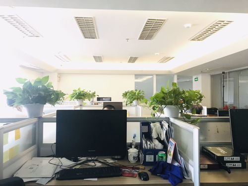 国贸 大望路 核心商圈 万达广场 精装修 带家具出租 办公楼租赁 北京我爱我家